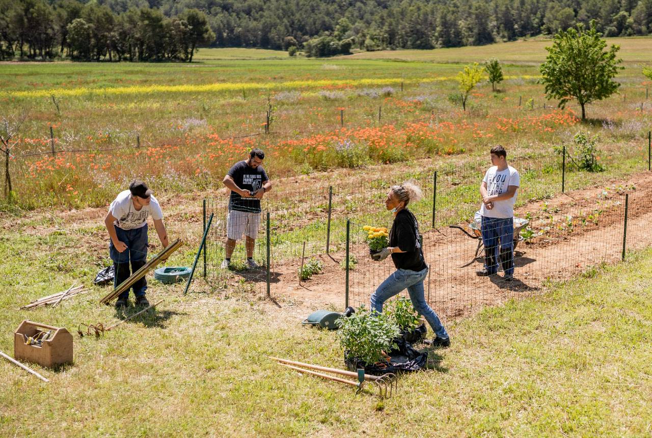 dispositifs accueil jeunes adultes situation handicap