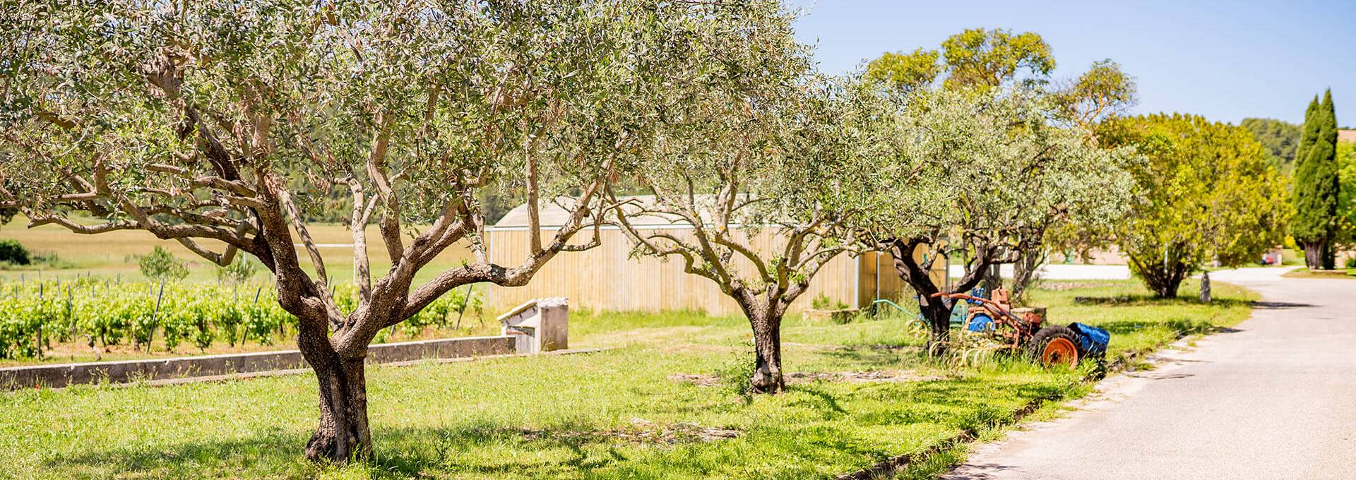 modalites admission ime argimsa