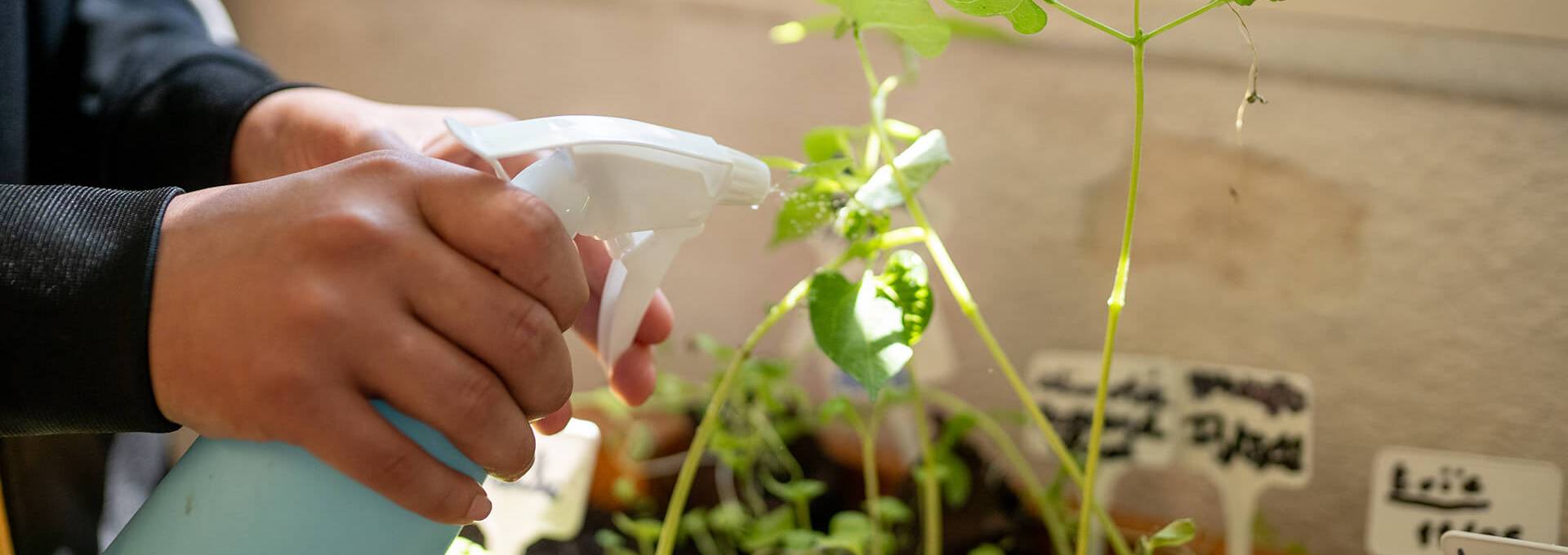 structure accueil brignoles argimsa