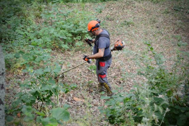 presentation esat argimsa